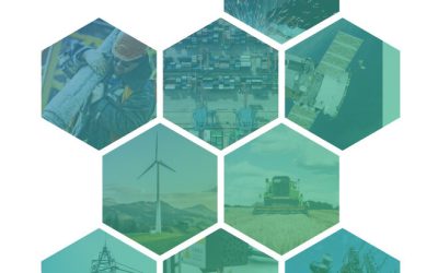Reality DLT: A 2019 Summary